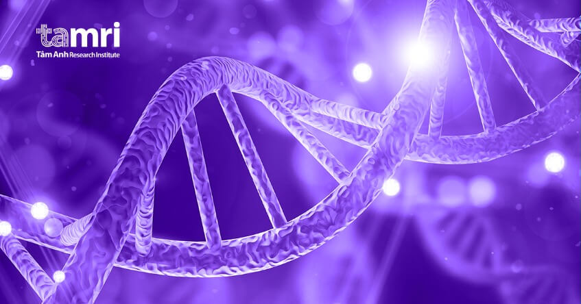 Quá trình thay đổi methylome trong giai đoạn biệt hóa tế bào góp phần thiết yếu tạo ra sự đặc trưng cho từng loại mô/tế bào