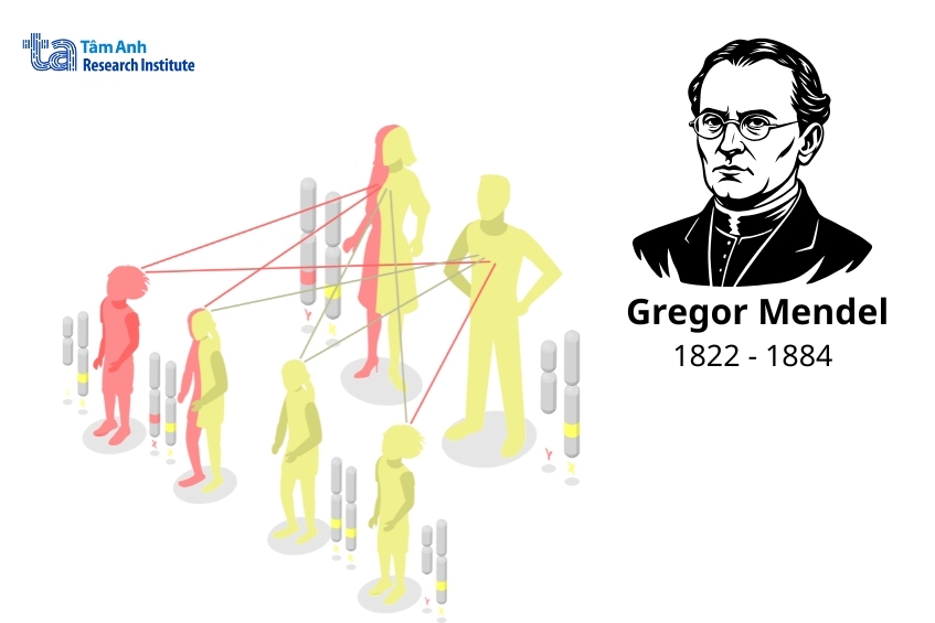 Gregor Mendel ông tổ di truyền học