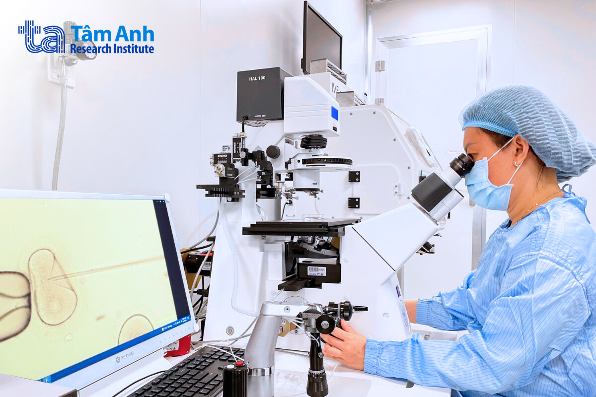 các loại hình nghiên cứu theo chiều dọc