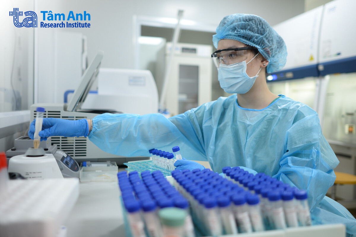 Cơ chế phân tử: Tải trọng cơ học thay đổi biểu hiện gene