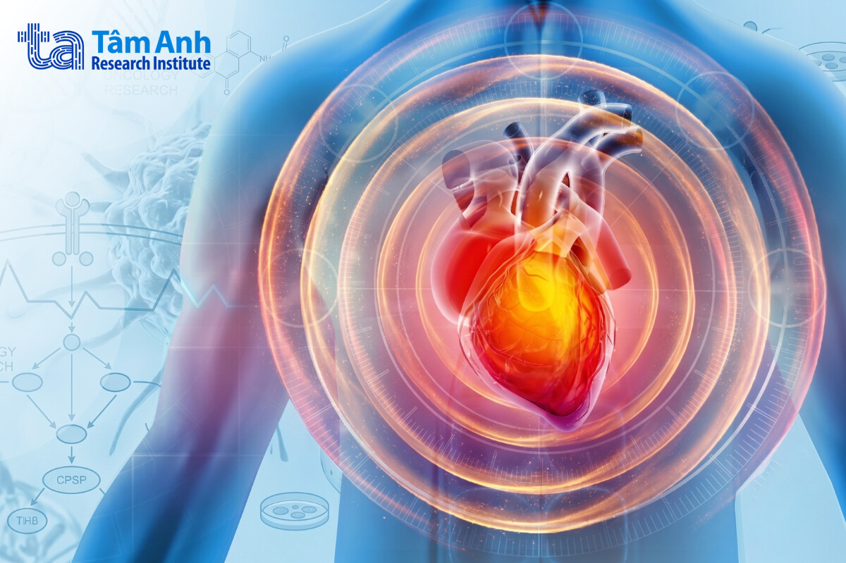 đặc điểm sinh học đáng chú ý của tim