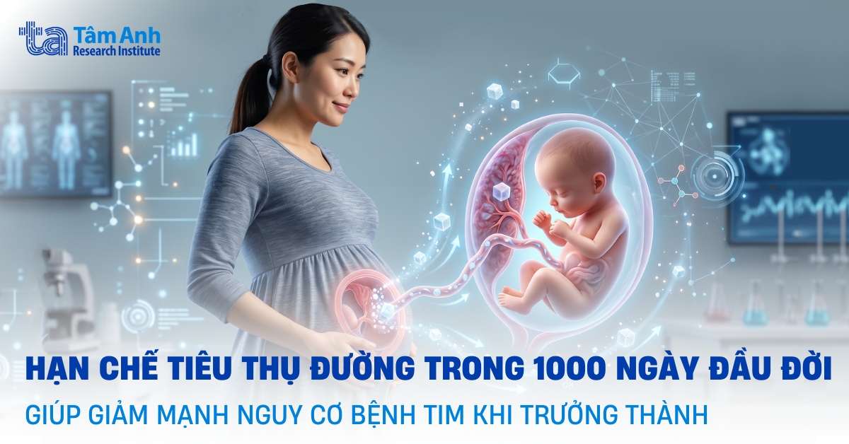 Hạn chế lượng đường trong 1.000 ngày đầu đời liên quan nguy cơ bệnh tim mạch thấp hơn khi trưởng thành