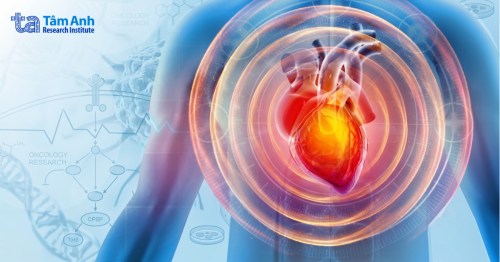 Giải mã bí ẩn y khoa: Vì sao tim hiếm khi mắc ung thư?