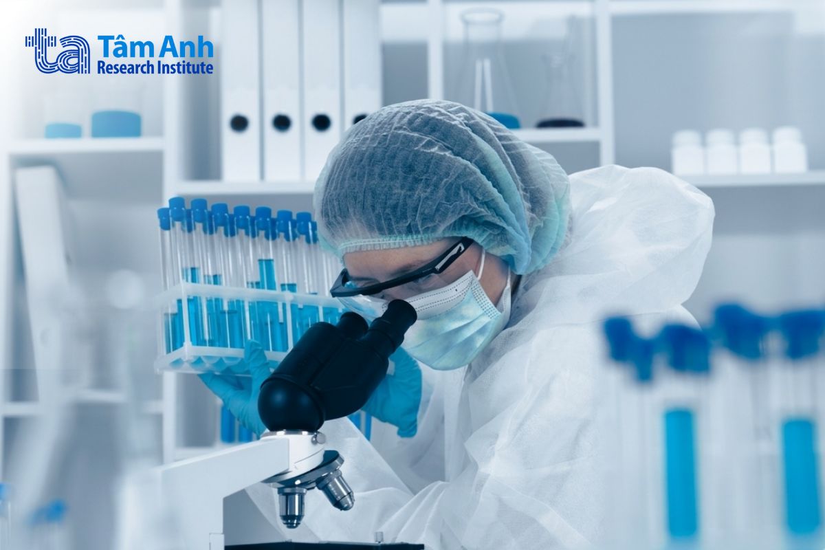 nghiên cứu được thử nghiệm trên tế bào gan