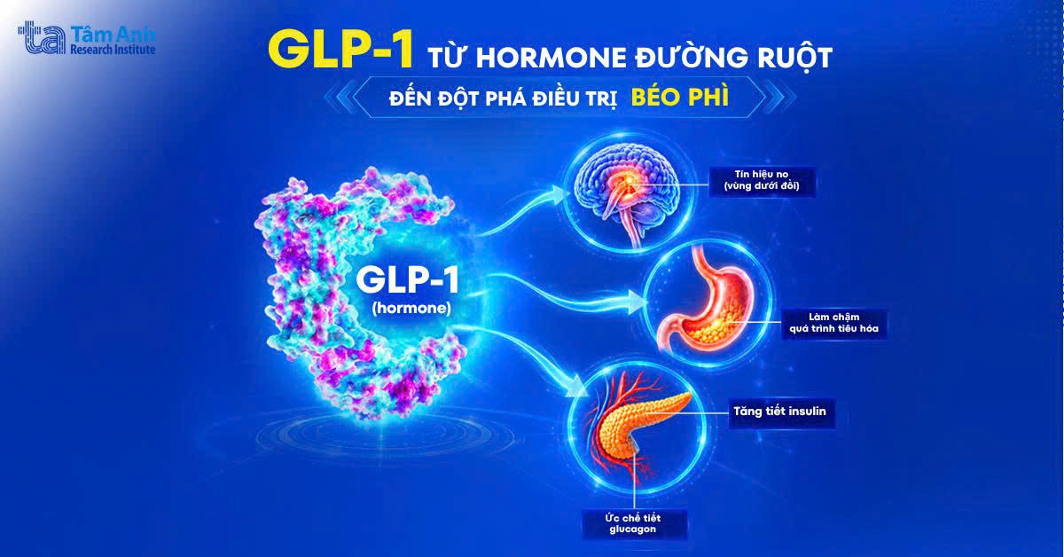 GLP-1: Hành trình 4 thập kỷ từ hormone đến bước ngoặt điều trị bệnh đái tháo đường, béo phì và giảm nguy cơ tim mạch